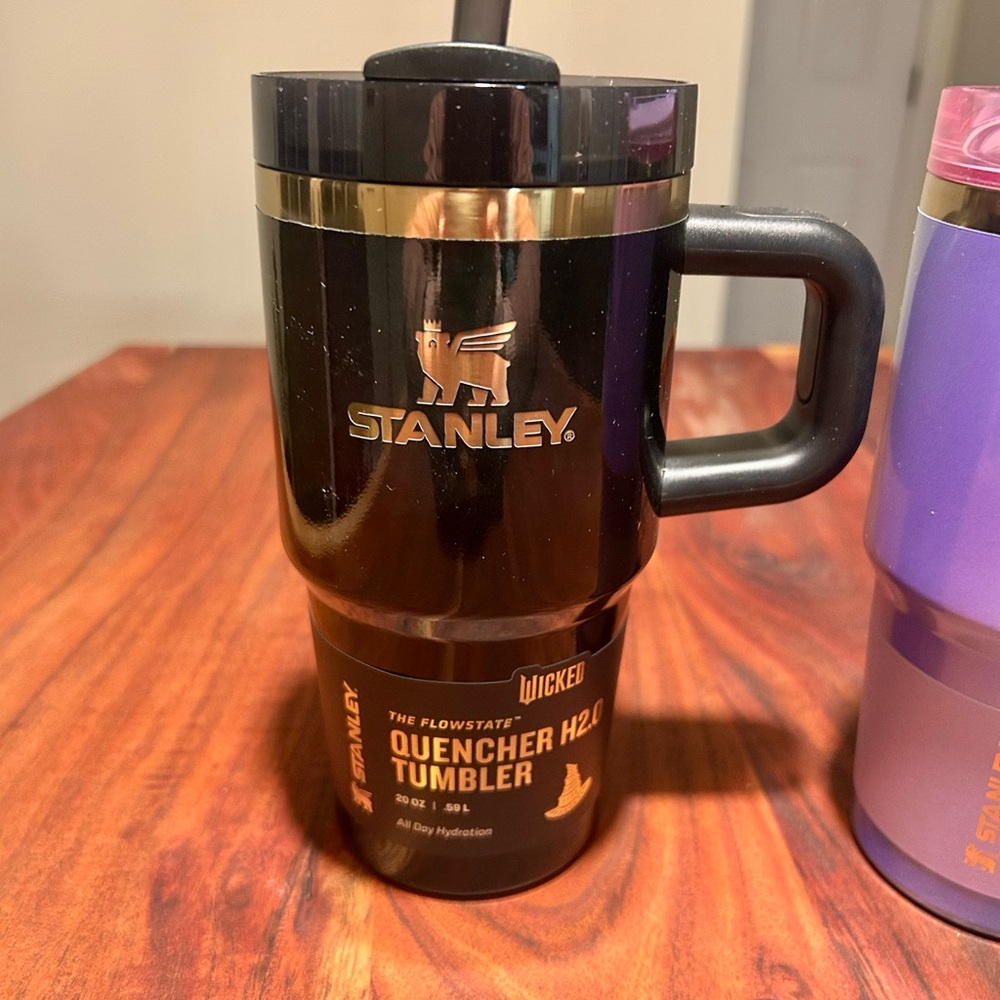 Stanley x Wicked Elphaba 20oz FlowState Quencher Tumbler ~ BRAND NEW!